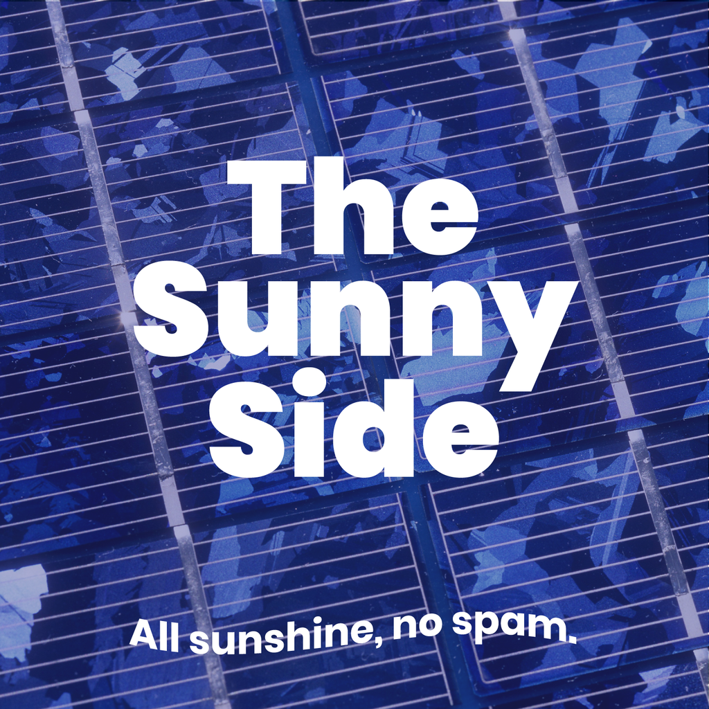 Officially launching our blog: The Sunny Side